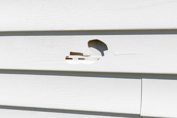 Best Shed Removal  in Galesburg, MI
