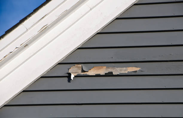Same-Day Junk Removal Services in Galesburg, MI